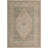 Matthei Oriental Indoor Rug-1623328902