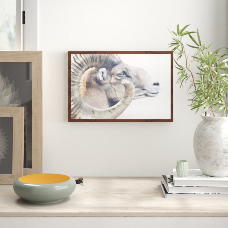 Parvez Taj - Single Picture Frame Print, 41cm H x 61cm W x 3.81cm D