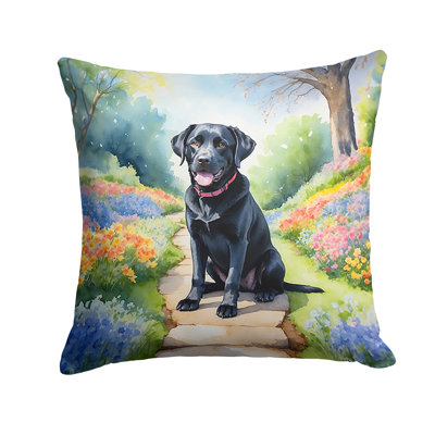 Spring Path Outdoor Throw Pillow