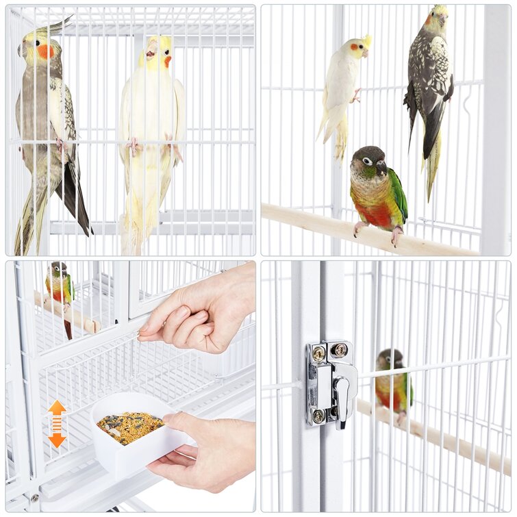 Tucker Murphy Pet™ Knox Hanging Bird Cage with Removable Tray & Reviews -  Wayfair Canada