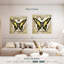 Abeille papillon Brampt II-109112605
