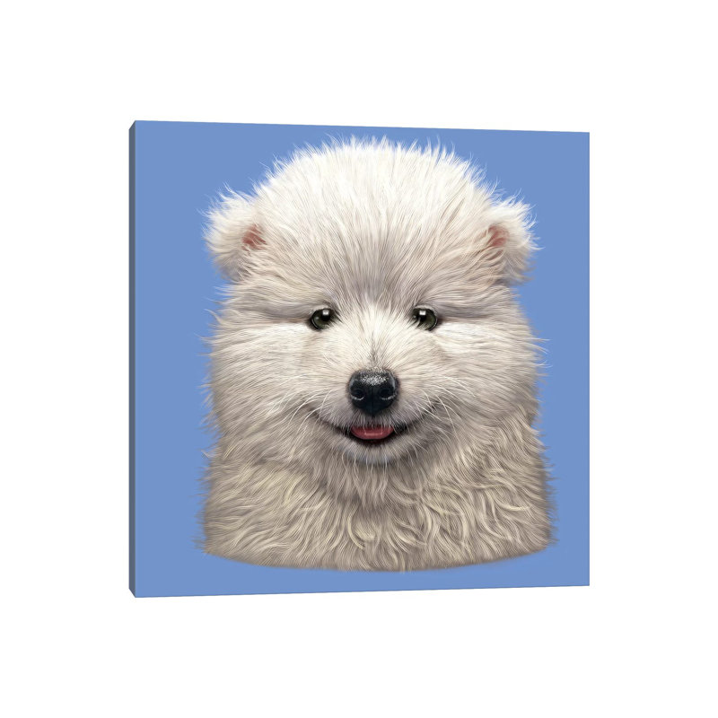 Samoyed Puppy by Vincent Hie - Wrapped Canvas Print, 30.48 cm H x 30.48 cm W