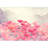 Floral Border-93997020