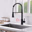 Robinet de cuisine HOOSENG-97068157