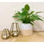 Glass Tabletop Tealight Holder-518204808
