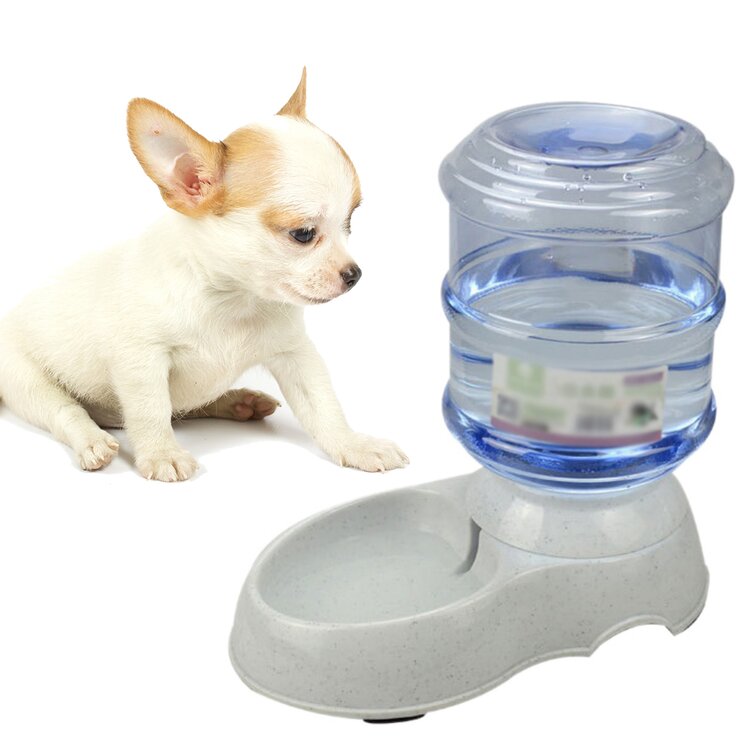  Projects - Automatic Dog Water Dish