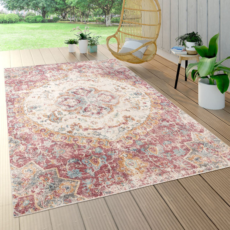 Steller Oriental Area Rug, Rectangle 240 x 330cm