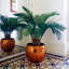 80cm Faux Plant in Pot Liner