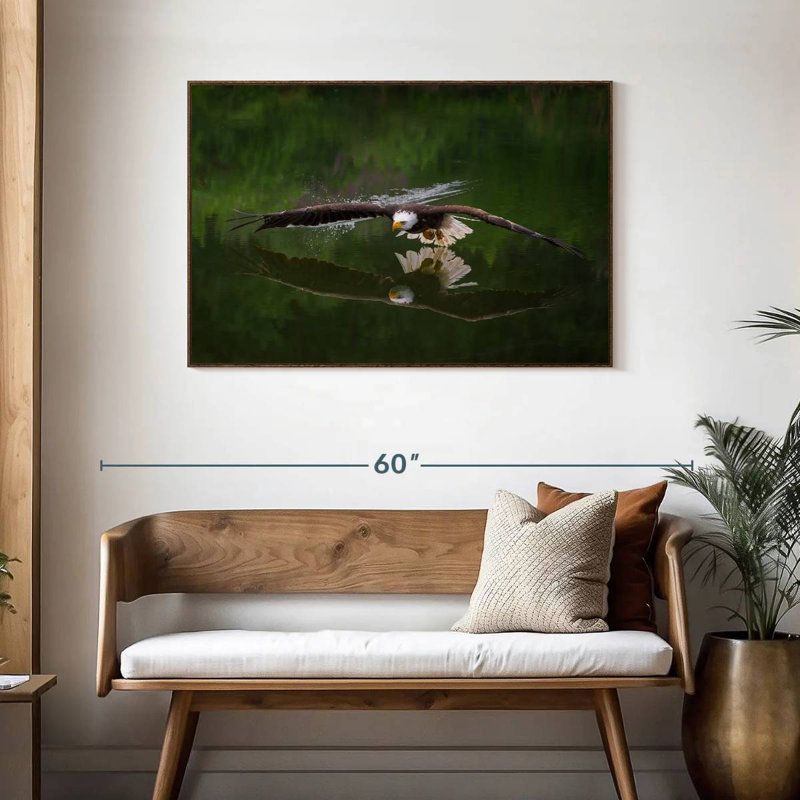 Bald Eagle Reflection, 43" X 29", Floating Frame Walnut