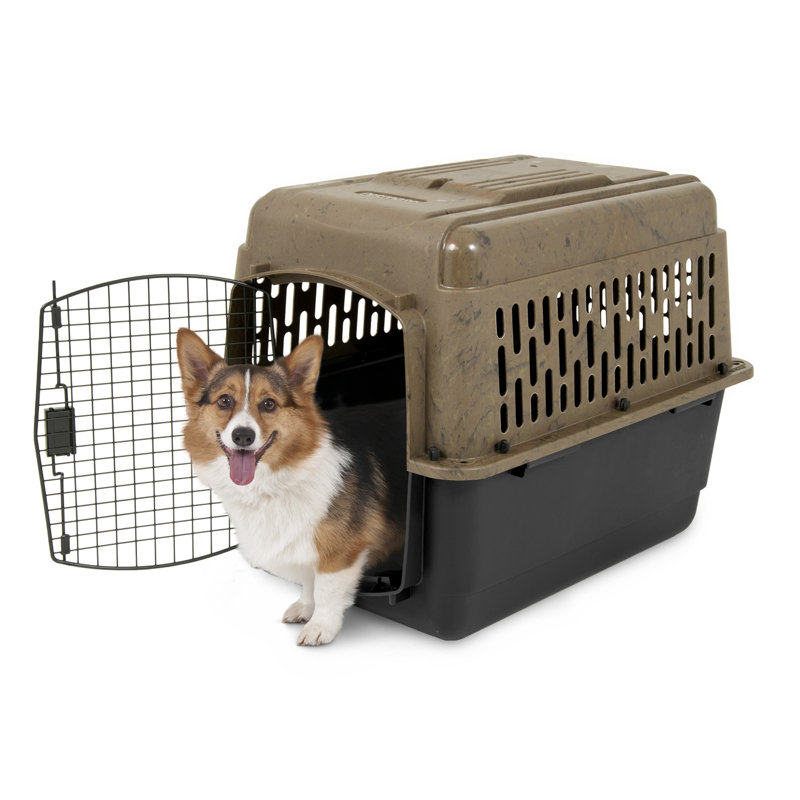 Porte-chien Adira, H 24 po x l 22,5 po x P 32 po