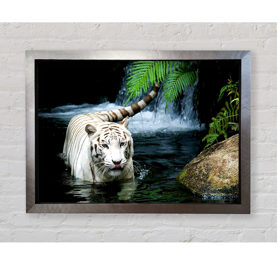 White Tiger Beautiful - Einzelner Bilderrahmen Kunstdrucke