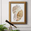 Seashell I - Peinture sur toile encadrée-244863808