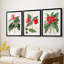 FloraOf TheTropicsI - Impression encadrée sur mesure de qualité supérieure - 3 pièces-1609287419-1609287418