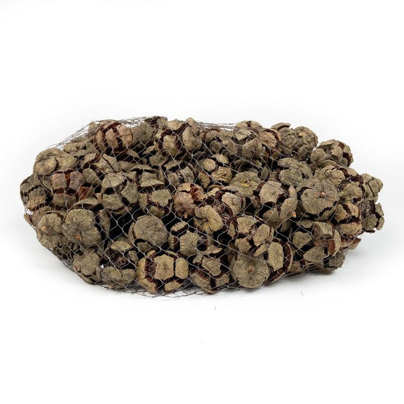 Bourre vase cypress en pin