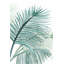 1 Piece Wrapped Canvas Wall Art-876230113