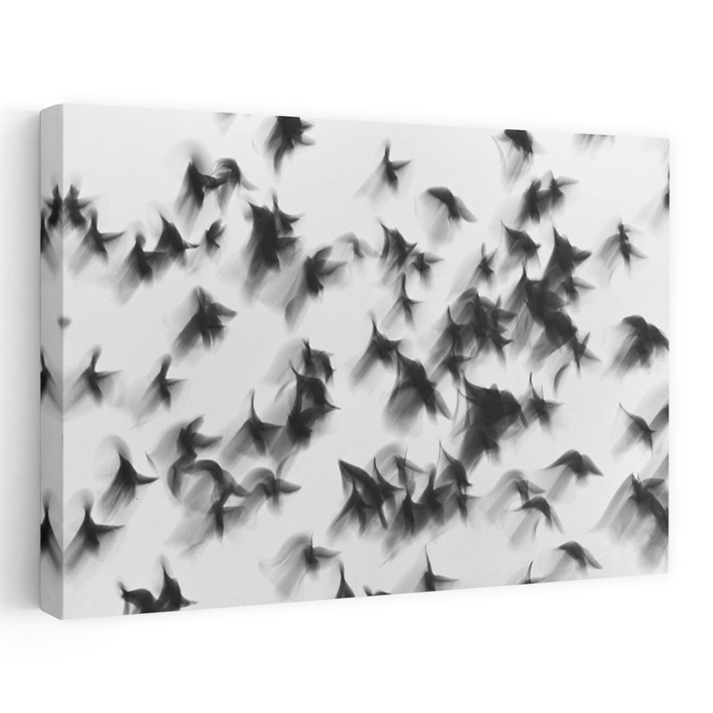 Dashiell Contemporary Art Contemporary Bird Fly Wall Art - Wrapped Canvas Print, 91.44 cm H x 60.96 cm W