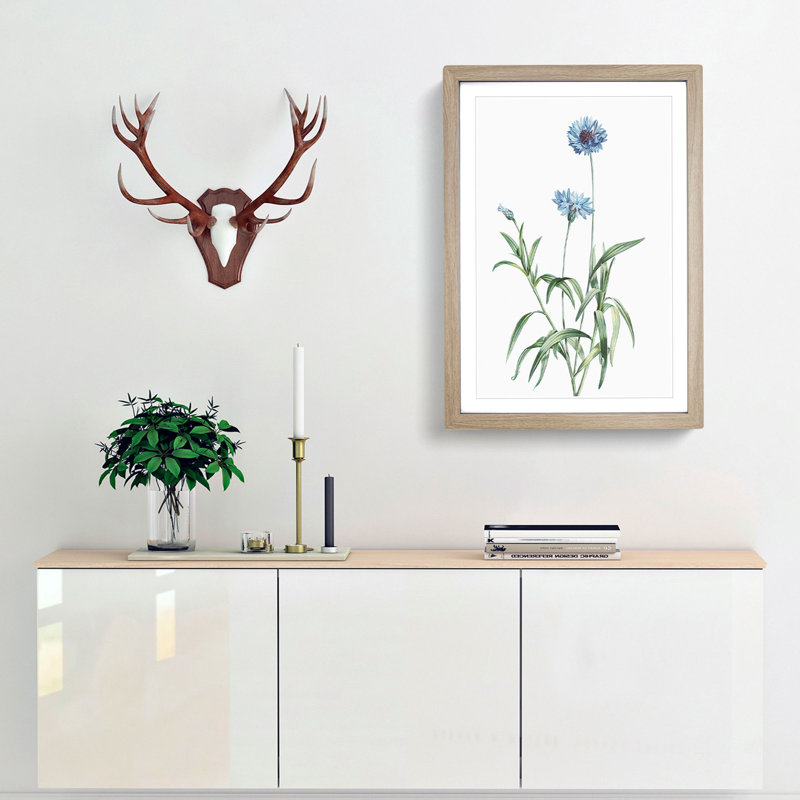 Cornflowers in Blue by Pierre-Joseph Redoute - Picture Frame Painting Print, 48cm H x 36cm W x 2cm D, Oak Framed