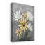 Summer Daisies I - impression-1061796116