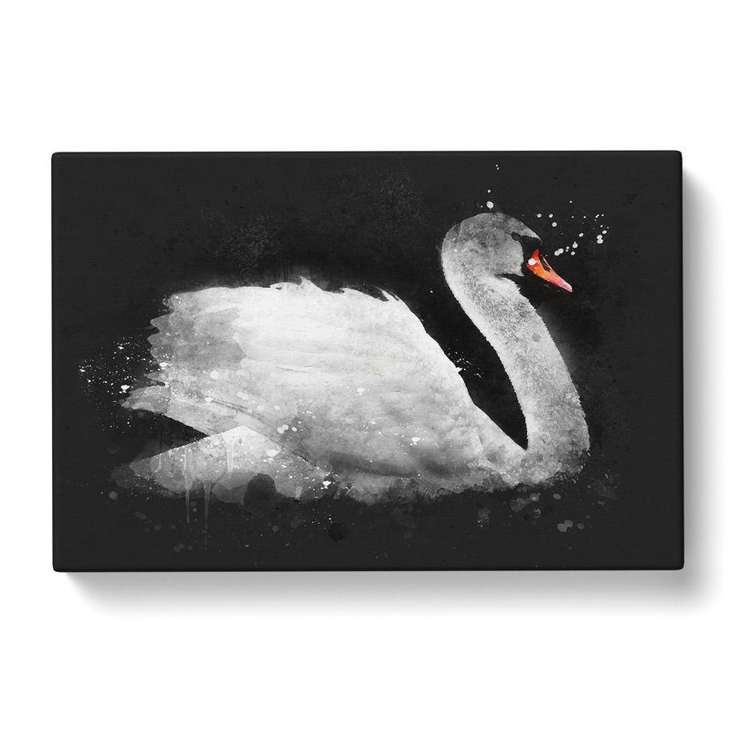 White Swan Swimming - Wrapped Canvas Print, 60cm H x 91cm W x 3cm D