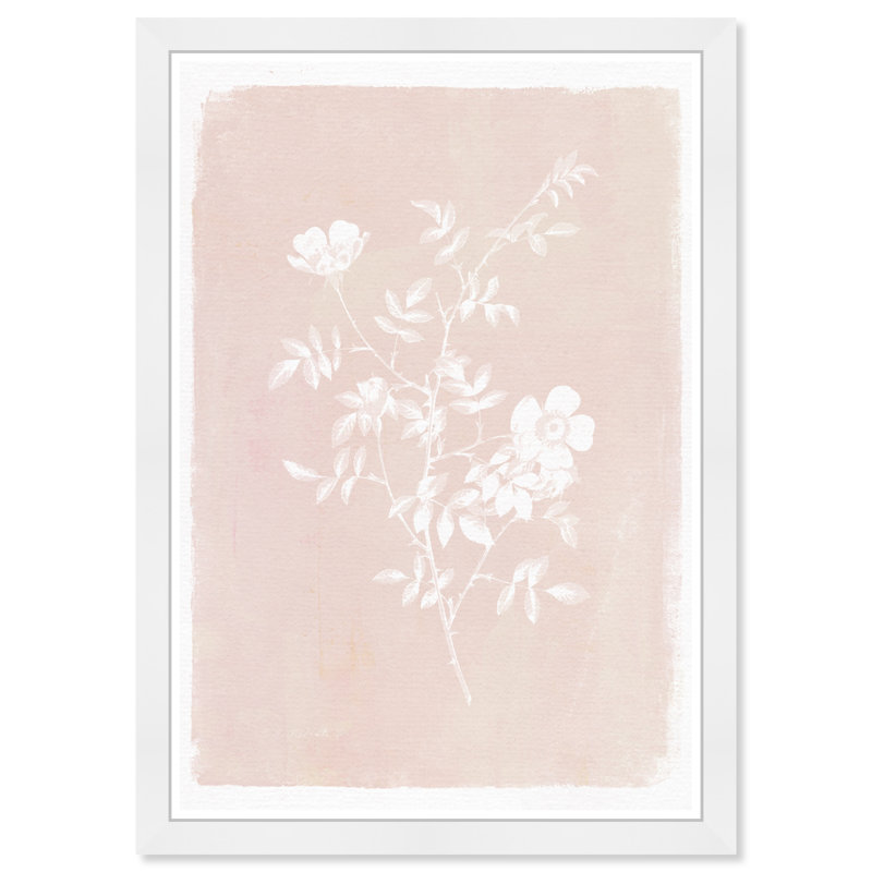 "Botanical Illustration II", art encadré
