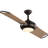 Edisto 54'' Ceiling Fan with LED Lights-438944847