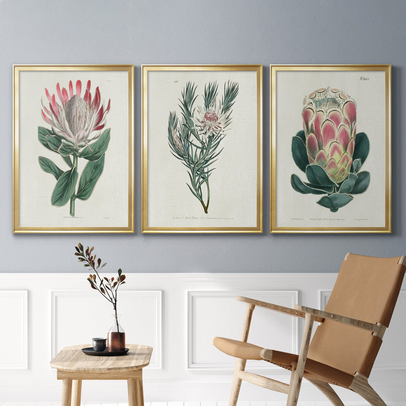 Protea N13 - Ensemble de 3 reproductions d'art, Toile encadrée dorée, H 30,5 po x l 172,5 po x P 1,5 po