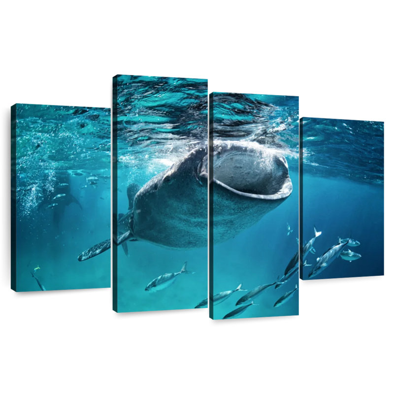 Brampt Gaping Whale Shark, 48"H x 75"W