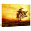 « africain tree silhouette », impression sur toile tendue-26126774-33219936