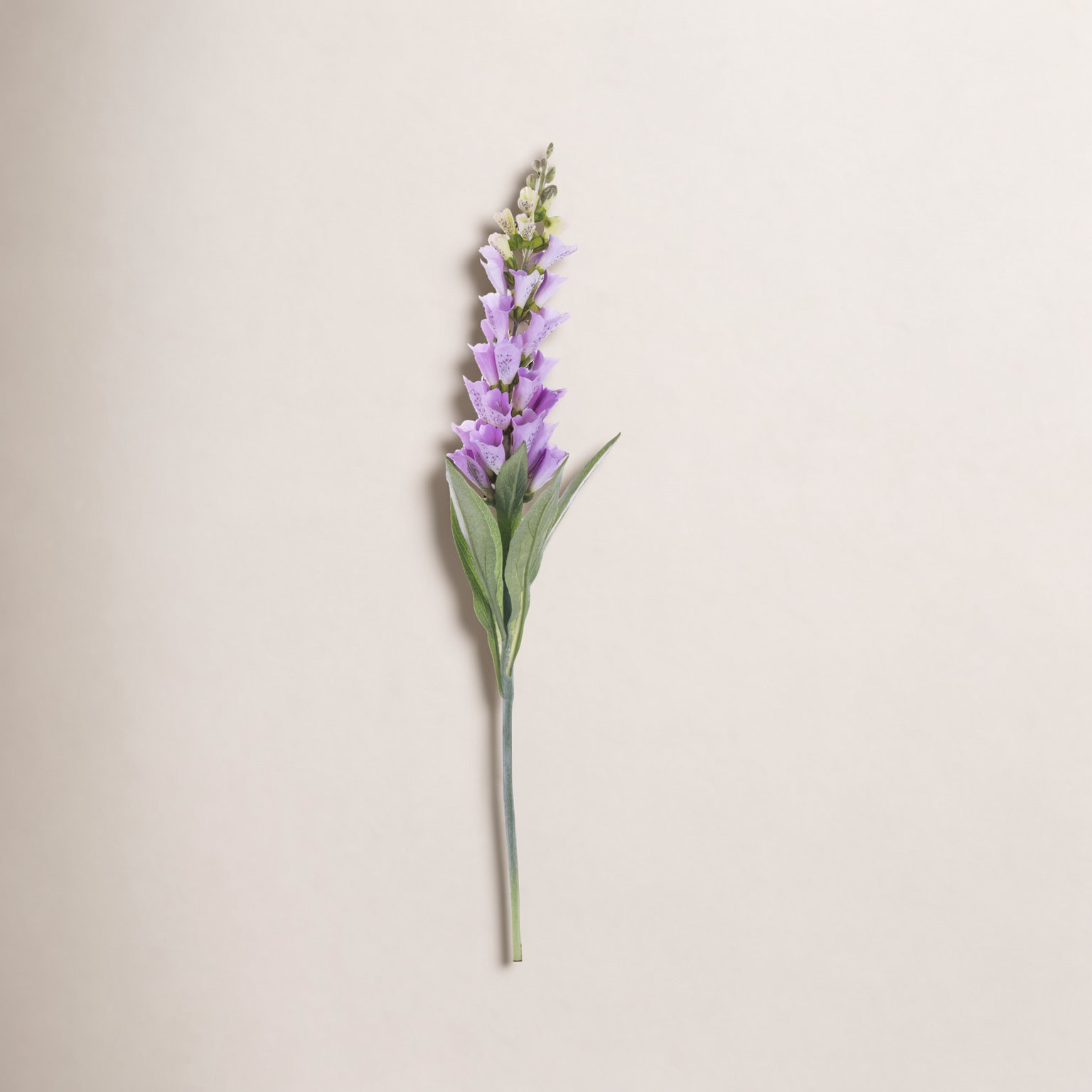 Fuchsia Stems, Lavender