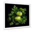 Fennel Herbs Fantasy 1 - Floral Herbs, art mural-872403633-838301032