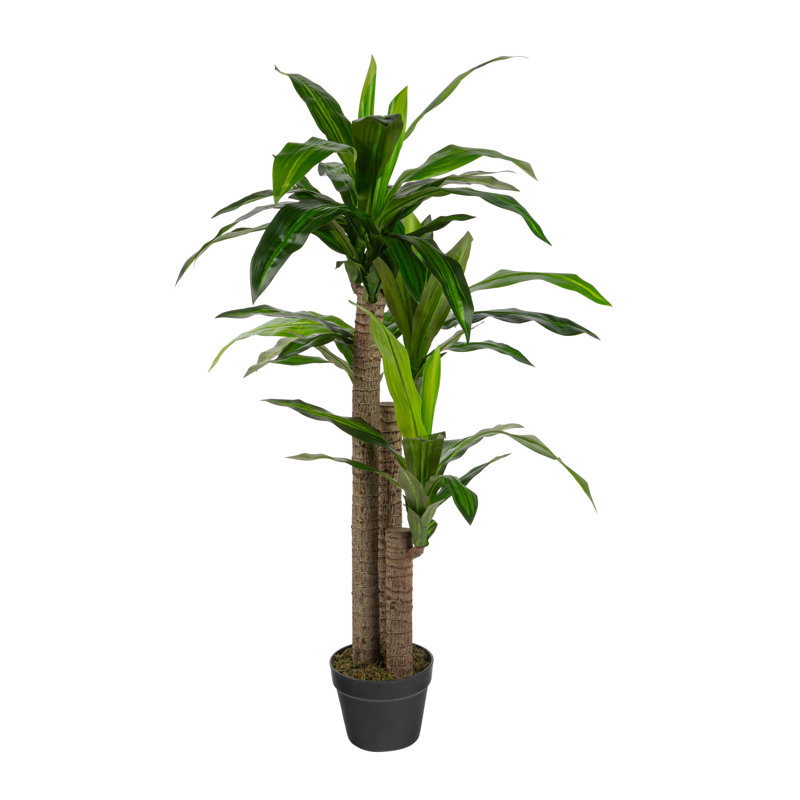 Dracaena artificiel en pot, H 49,21 po x l 26,5 po x P 26,5 po