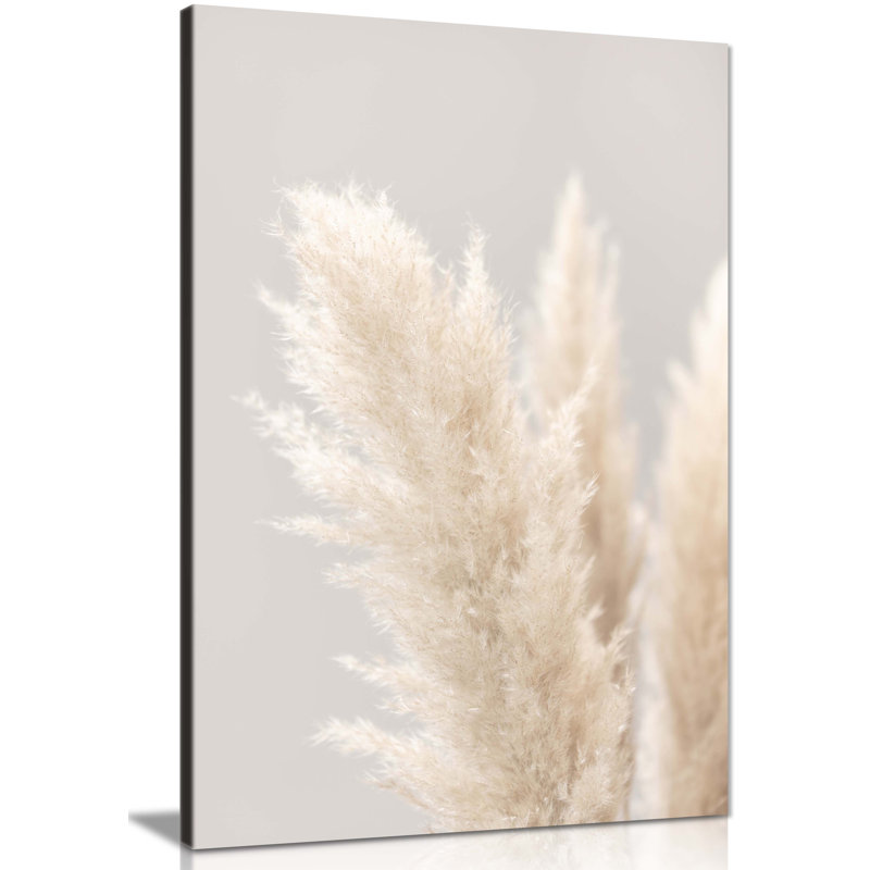 Pampass Grass Close Up - Wrapped Canvas Print, 31cm H x 20cm W
