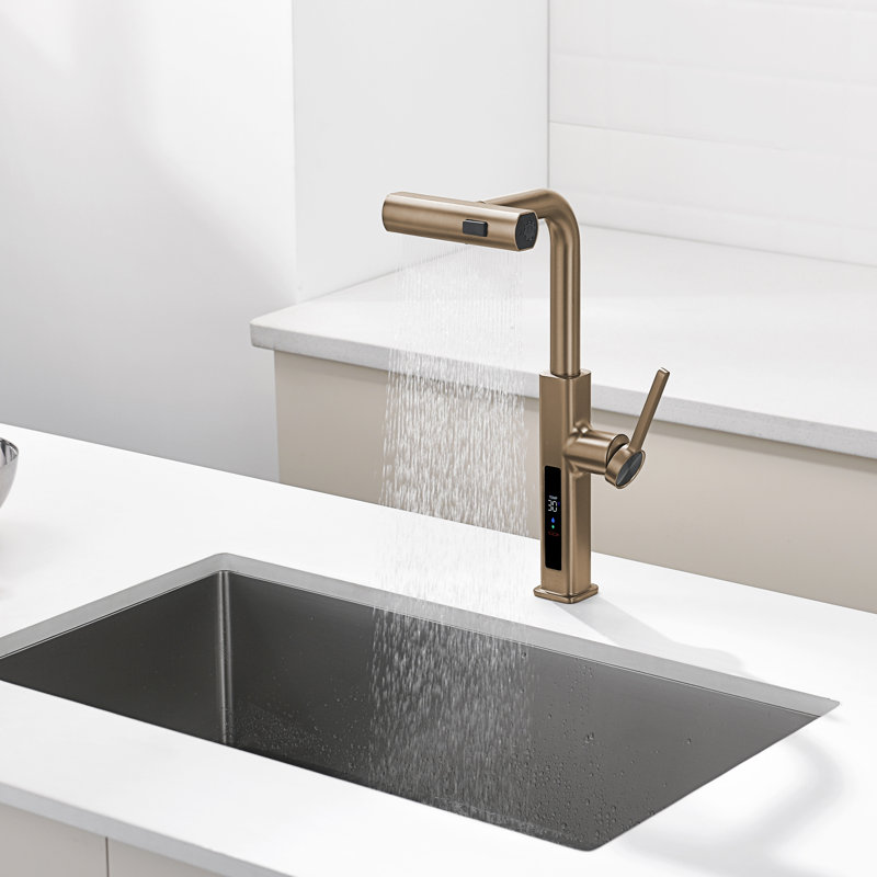 Single Handle Kitchen Faucet with Accessories, Brushed Brass