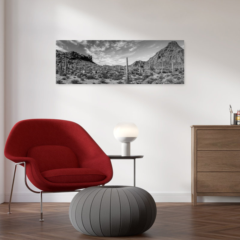 Various Cactus Plants In A Desert Organ Pipe Cactus National Monument Arizona USA by Jim Wiebe - Wrapped Canvas Panoramic Print