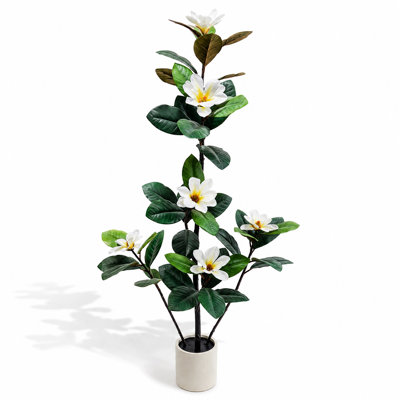 5ft Artificial Magnolia Tree with White Blossoms in White Pot – Realistic Multi-Trunk Faux Indoor Floor Plant for Living Room Decor (150cm/5ft Green)