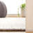 Rectangle Cassana Area Rug-1814898499