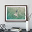 Seagull - Picture Frame Painting Print-56705403-56705406