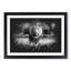 Lion Vol.5 - Picture Frame Graphic Art-62802653-62802652