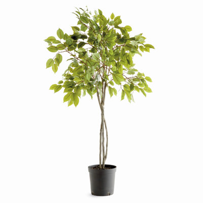 Wren Hill Faux Ficus Tree in Pot Liner