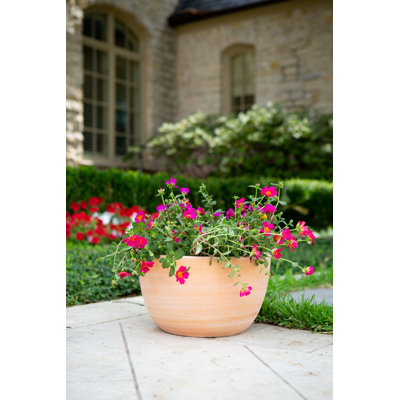9 in. Novo Egg Planter