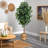 72'' Faux Ficus Tree in Burlap, Cotton Planter