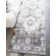 Walmoor Oriental Indoor Rug