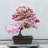 Azalea Bonsai Tree - Wrapped Canvas Print