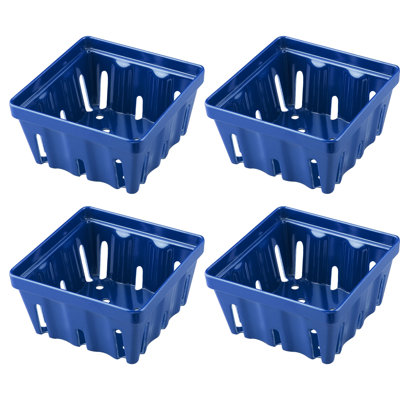Elian Food Storage Container