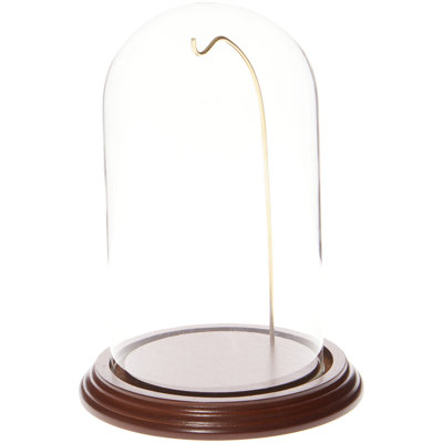 Cloche de dôme en verre pour montre / ornement 4 "x 7"