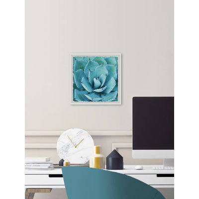 Thriving Succulent - Single Picture Frame Painting