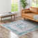 Olufisayo Oriental Indoor Rug