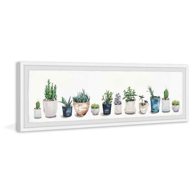 Succulents And Sunshine by Parvez Taj - Single Picture Frame Painting, 38cm H x 114cm W