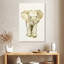 Brampt bébé éléphant I-108453078