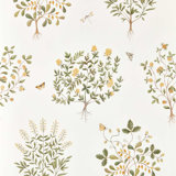Highgrove Thyme Walk